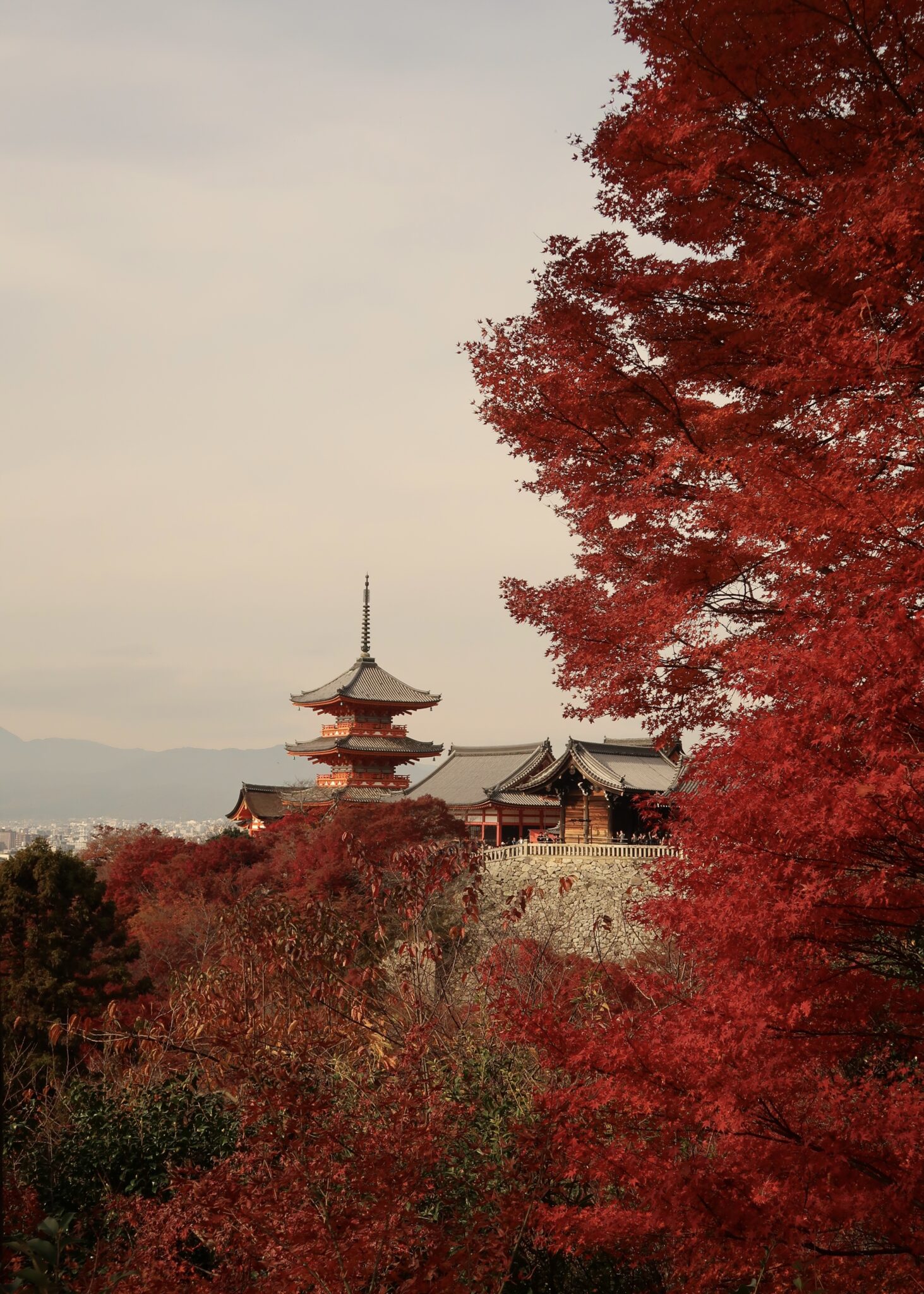 KYOTO VVVV
